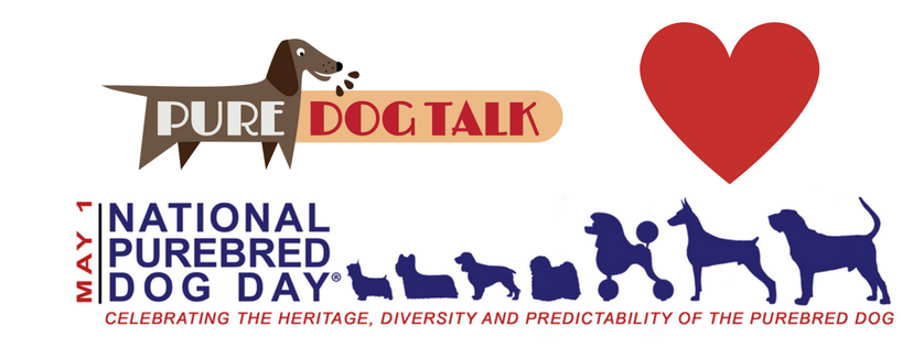 National purebred hot sale dog day 2019