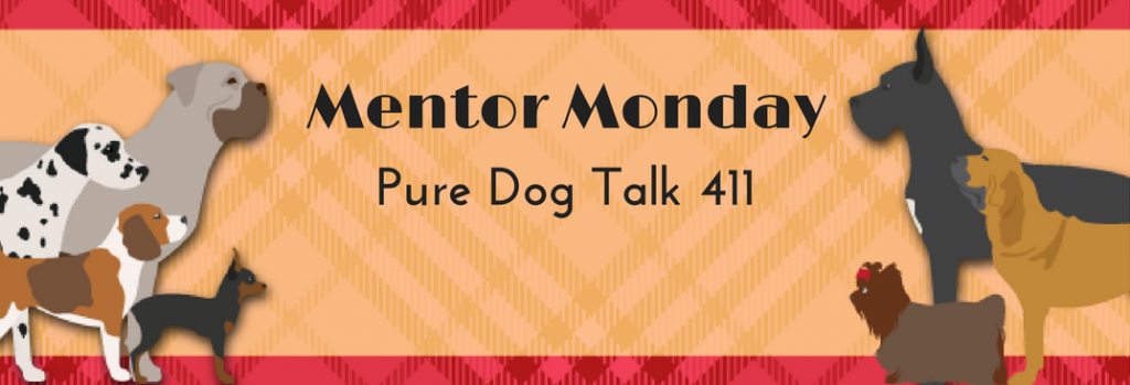 Pure Dog Talk 411