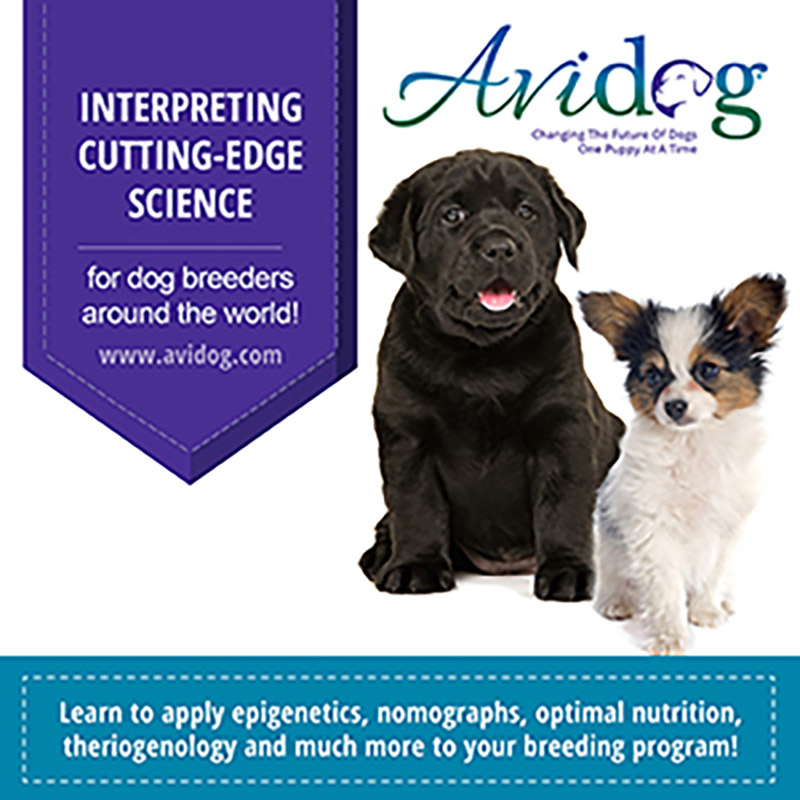 AKC Purebred Guide Poster #3920