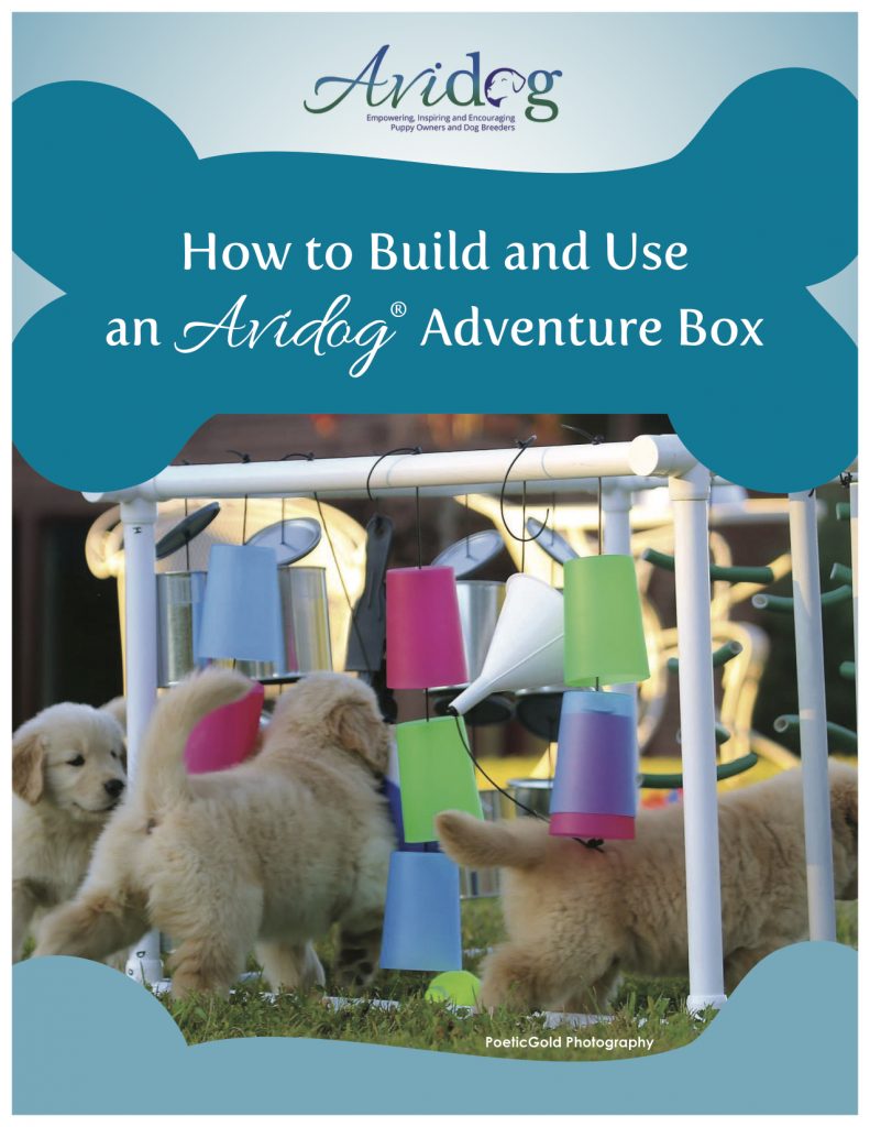 How To Build and Use An Adventure Box