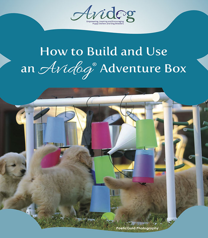 How-To-Build-and-Use-An-Adventure__-Box