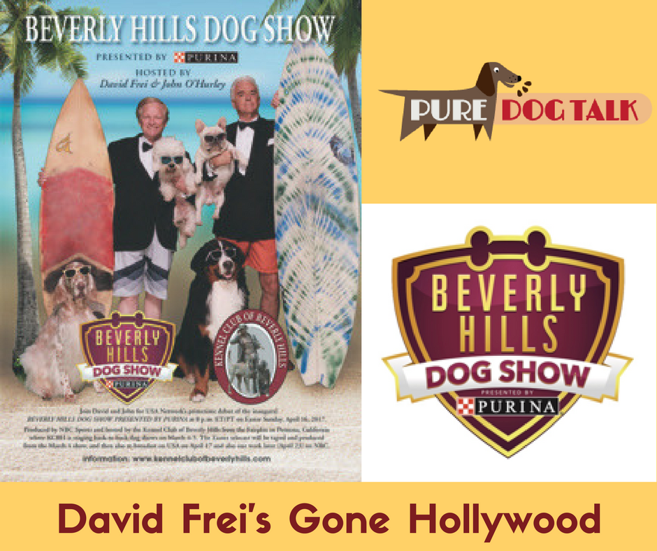 David Frei's Gone Hollywood