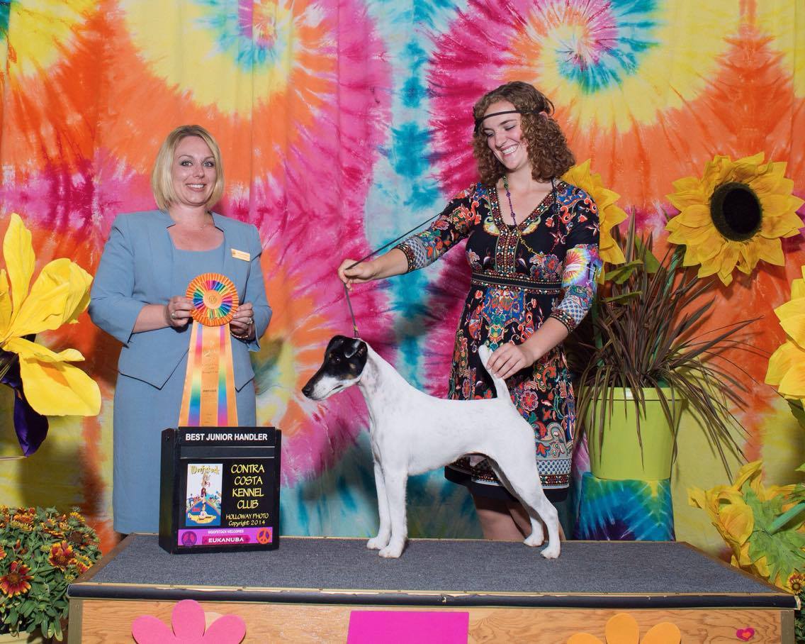 Woofstock clearance dog show