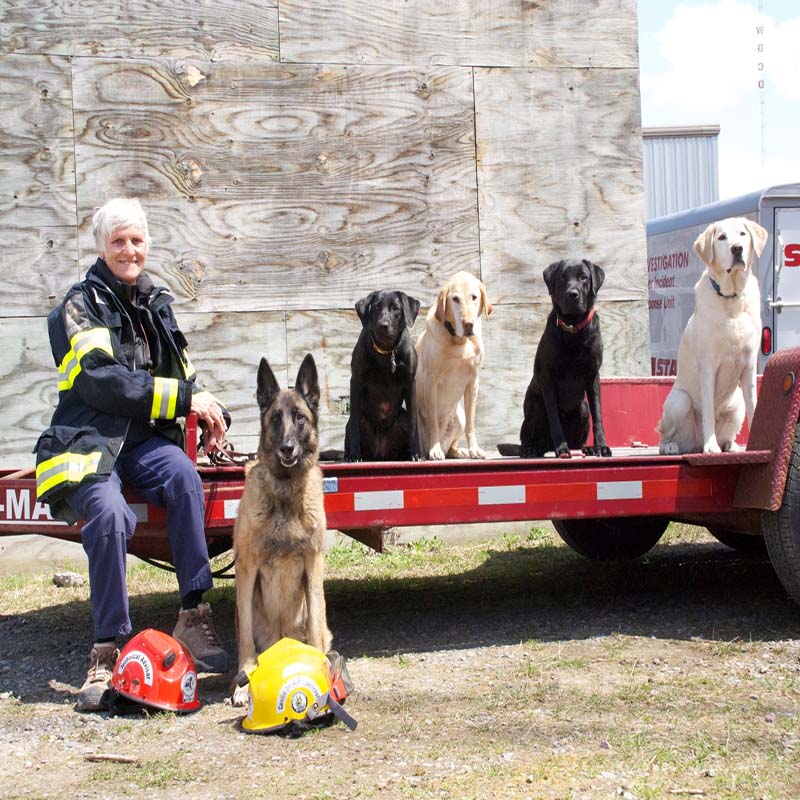 Lani-Sadie-Bonnie-Dax-Marsi-Pluis-posed-Albany-training_