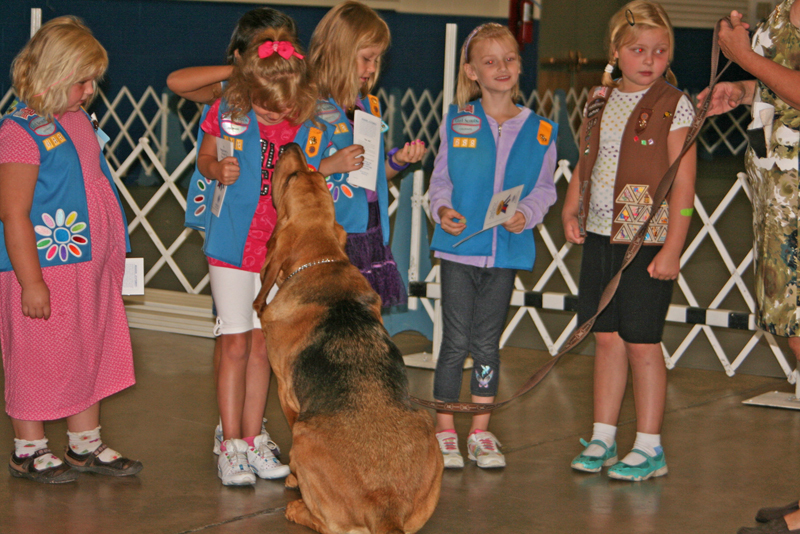 bloodhound-sassy-sit