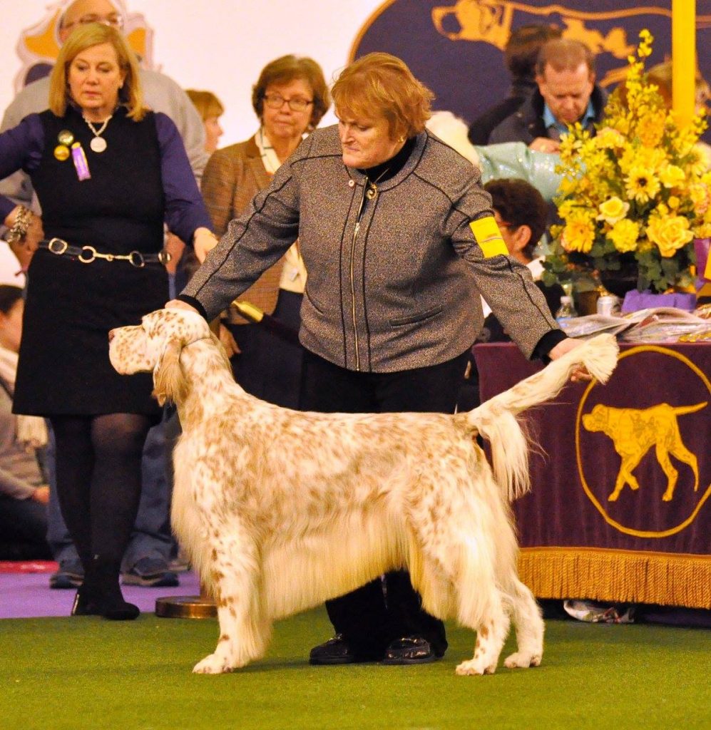 Eileen Hackett and English Setter