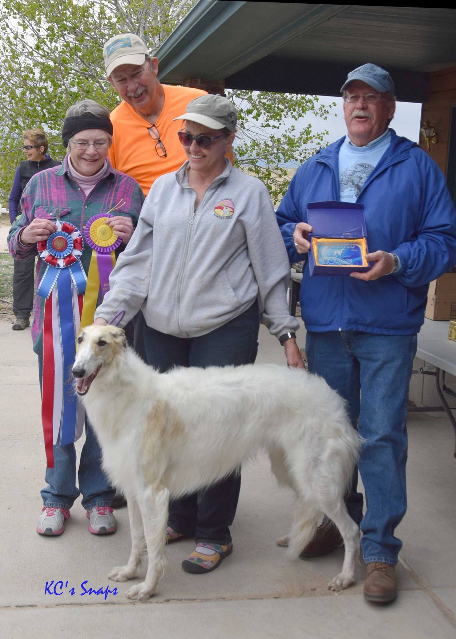 Lure Coursing Cindi Gredys