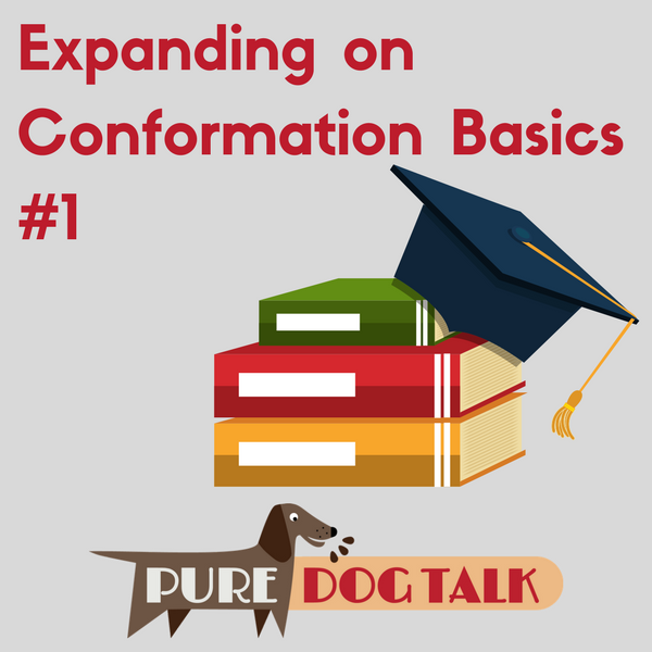 expanding conformation basics