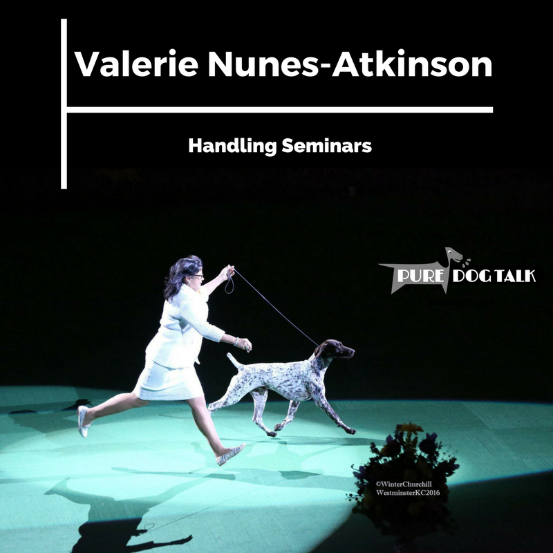 valerie nunes-atkinson handling seminars