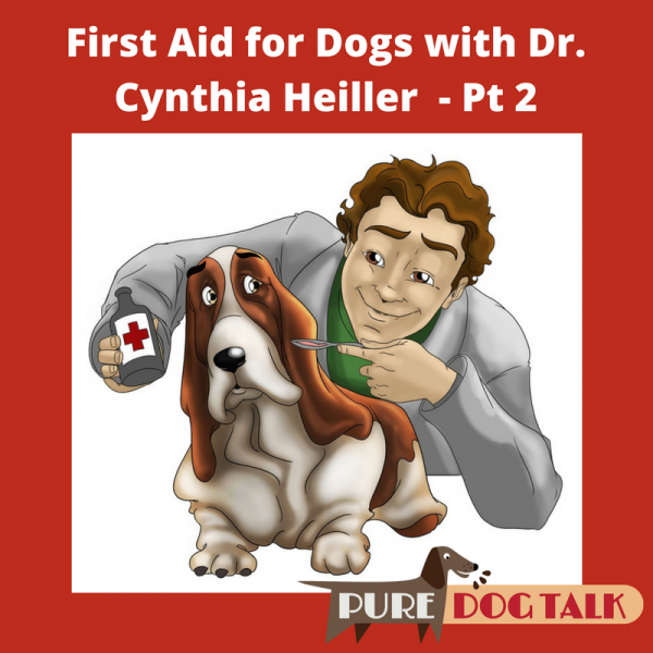 First Aid for Dogs Bloat, Shock, Heatstroke and Snakebite Part 2