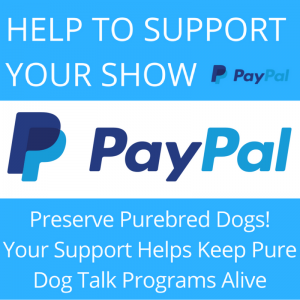 pure dog talk paypal