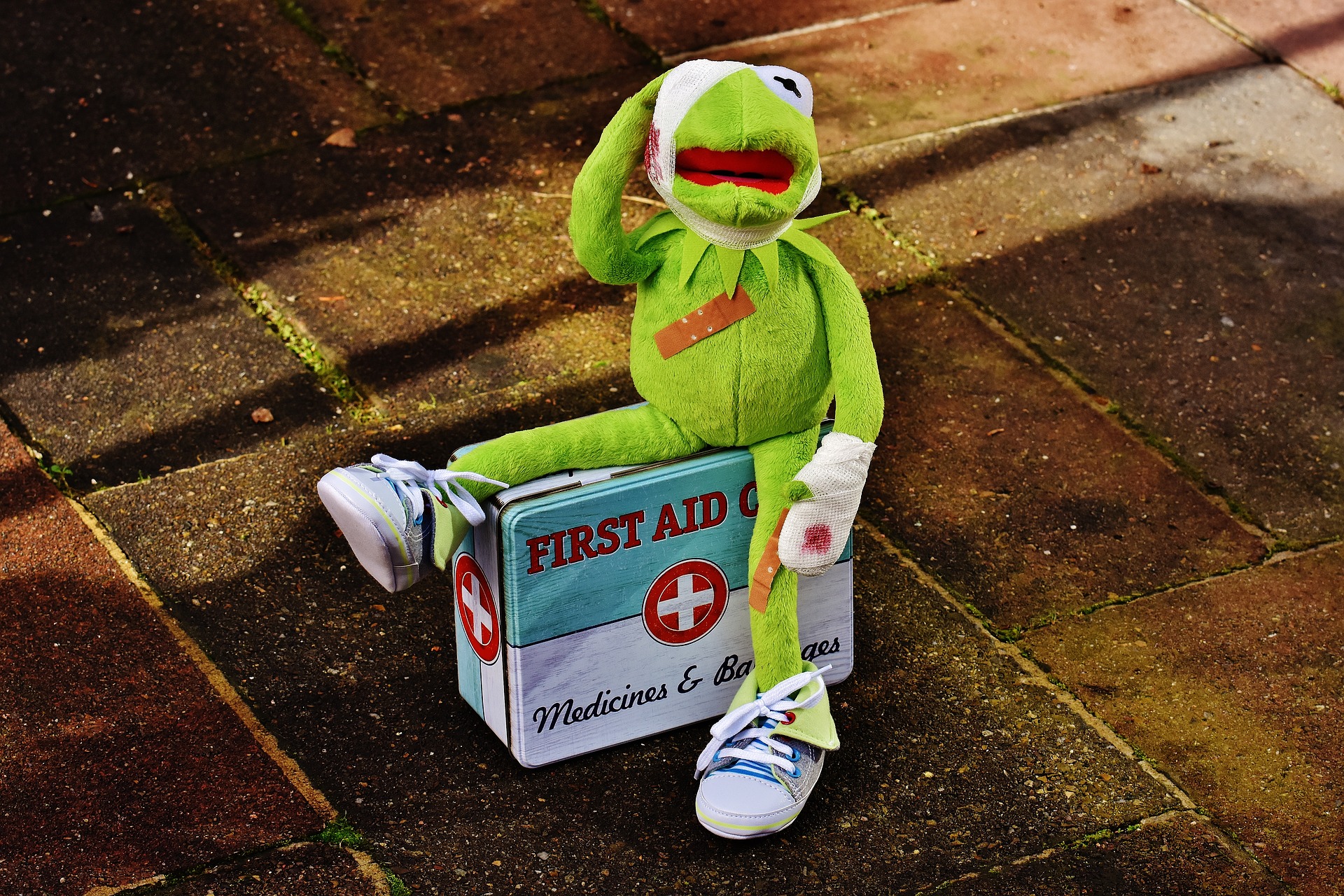 First Aid for Dogs Are you Ready for Field and Show Emergencies Dr