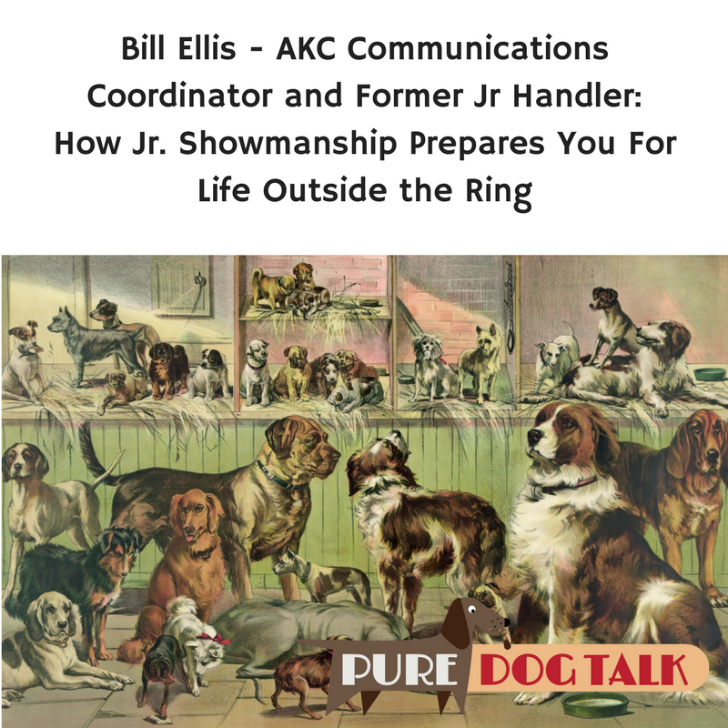 Bill Ellis Junior Showmanship