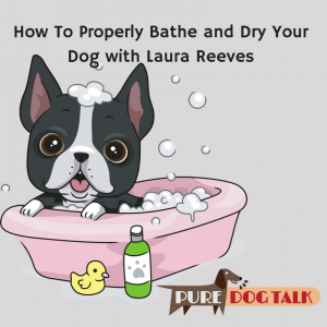 bathe dry dog