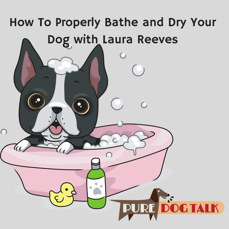 https://puredogtalk.com/wp-content/uploads/2017/08/How-To-Properly-Bathe-and-Dry-Your-Dog.png