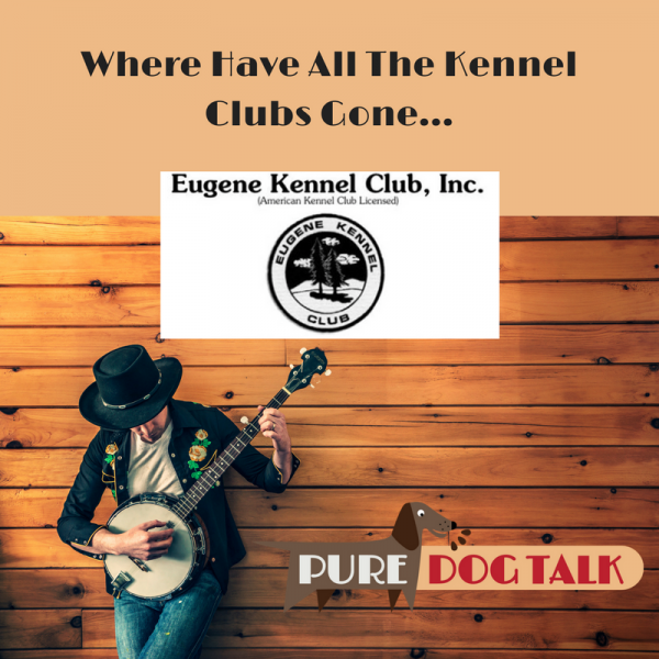 Where Have All The Kennel Clubs Gone...