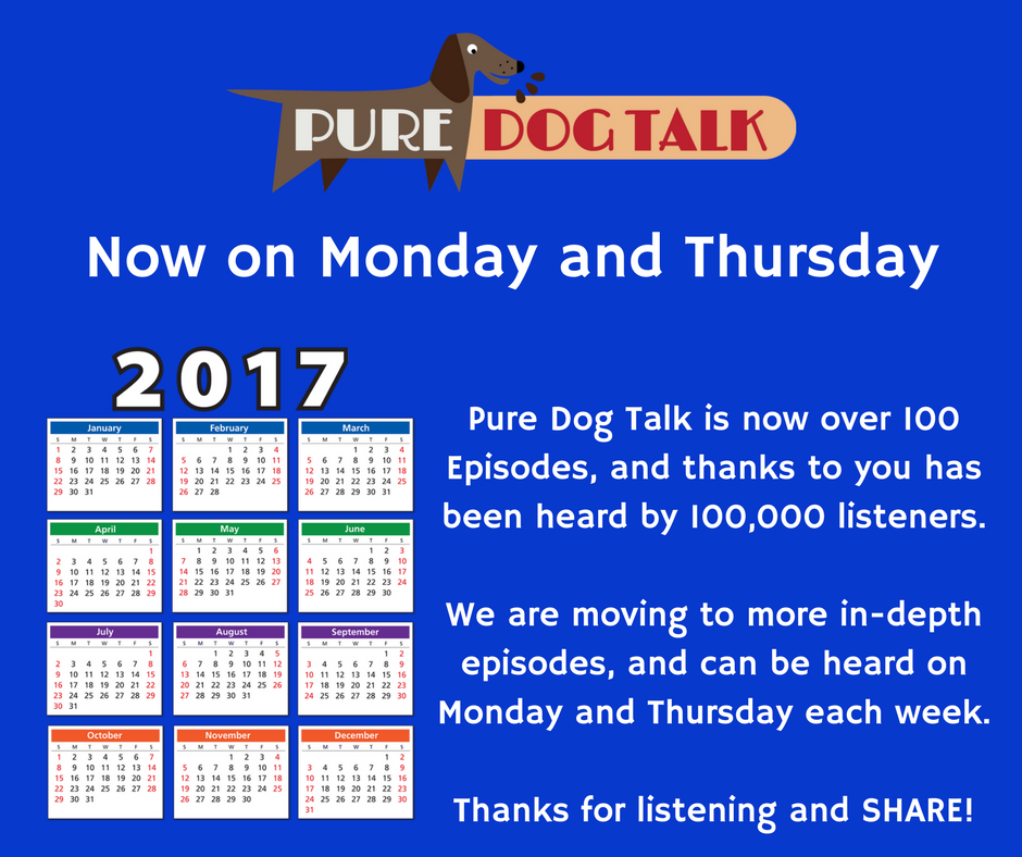 pure dog talk