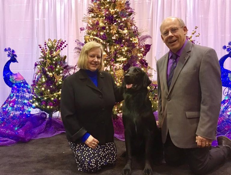 Hiring a Professional Dog Handler Dinah Baggenstos PHA