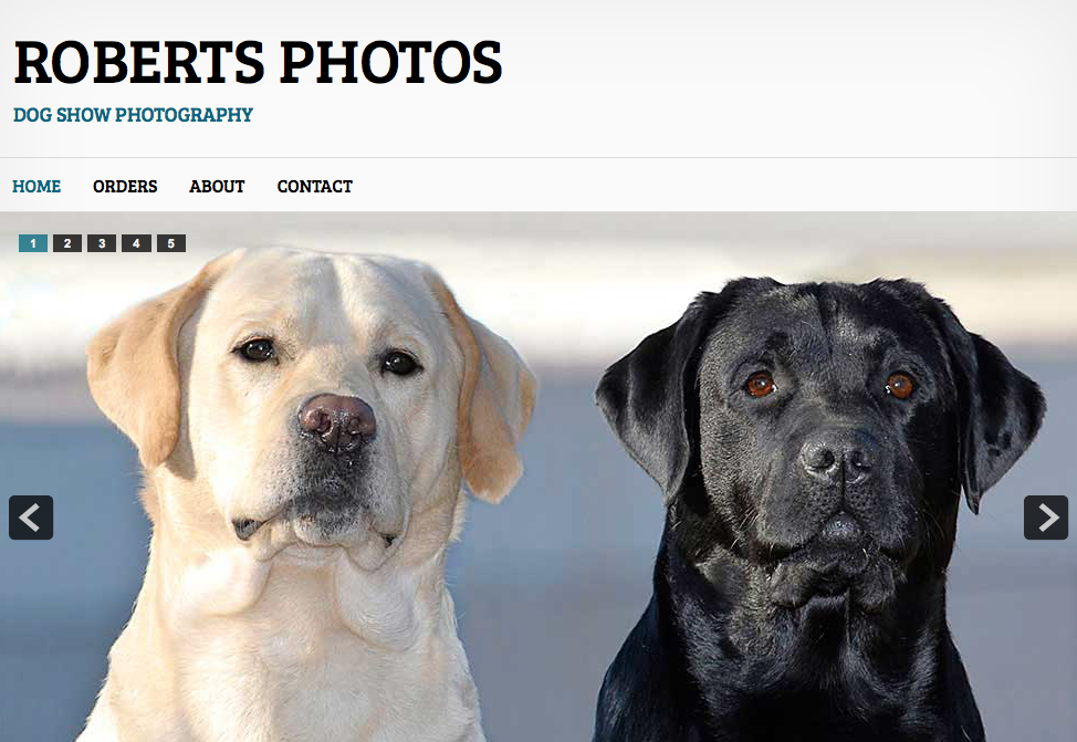 Randy Roberts Dog Show Photography