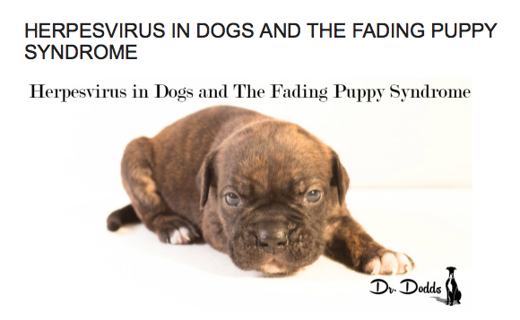 Canine Herpes - Dr. Jean Dodds