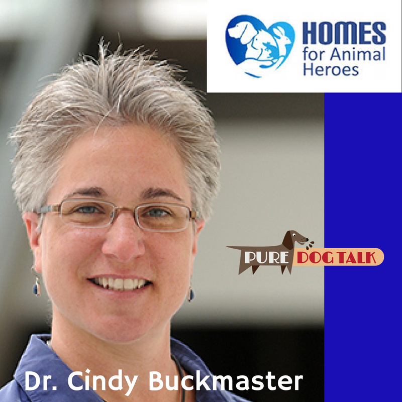 Dr. Cindy Buckmaster