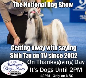 NBC National Dog Show