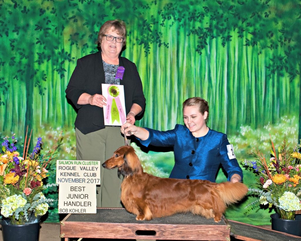 Junior Showmanship Gillian McKim Best Jr Handler