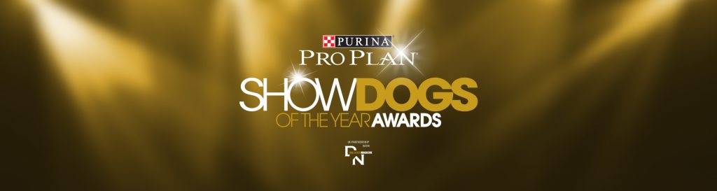 Show Dog Awards