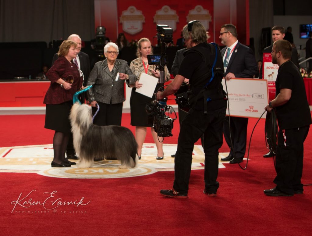 Pat Laurans Judging NOHS BIS - Photo by Karen Evasuik