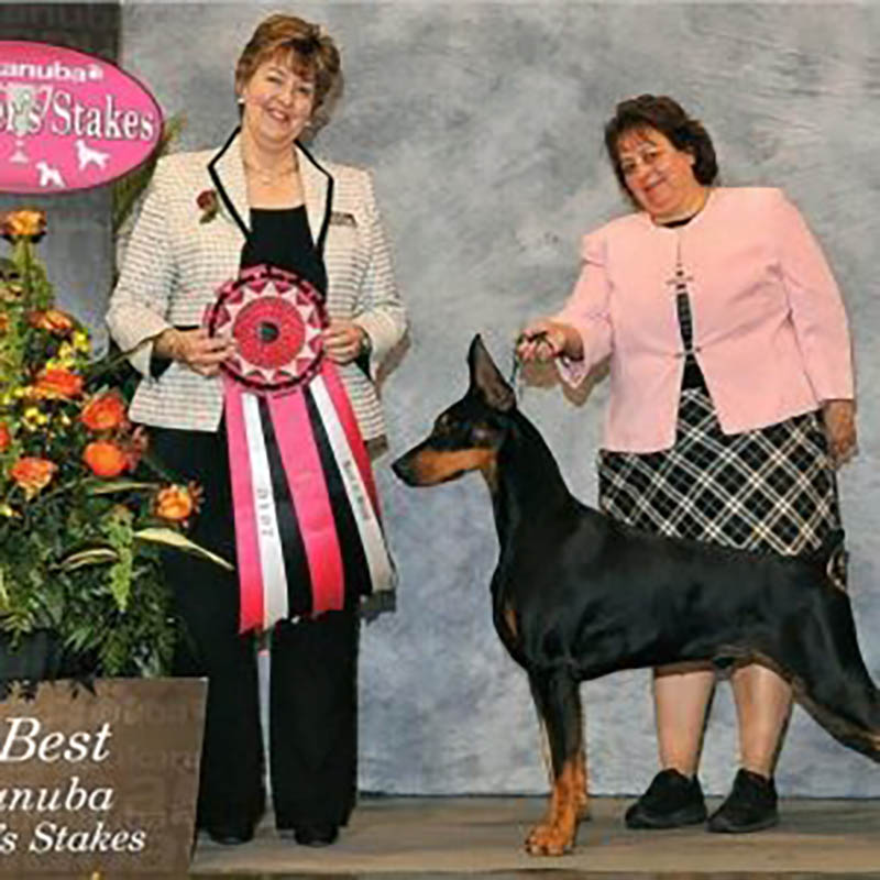 Michelle Santana, Foxfire Dobermans