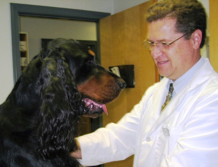 dr bell veterinarian