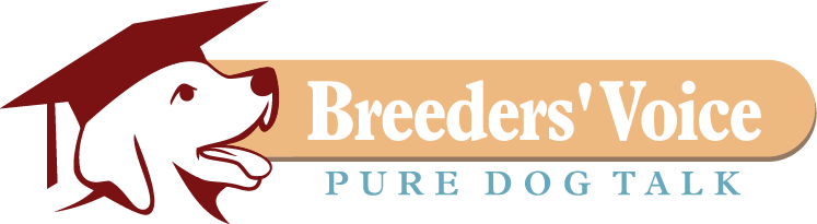 logo18-1