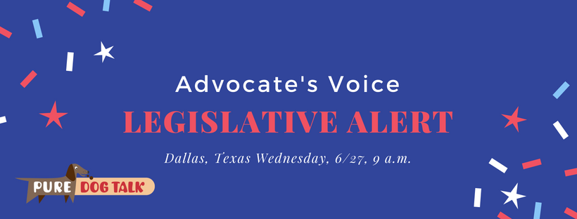 legislative alert