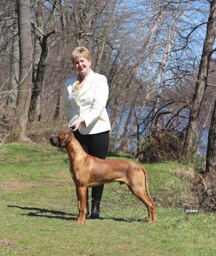 rhodesian ridgeback dog size