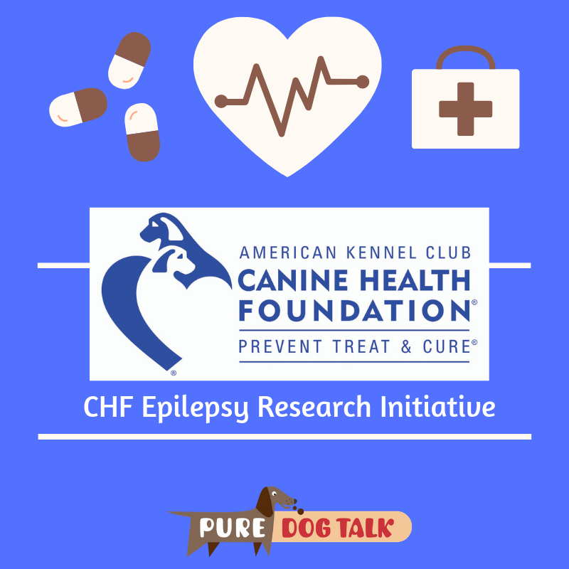 CHF Epilepsy Research Initiative