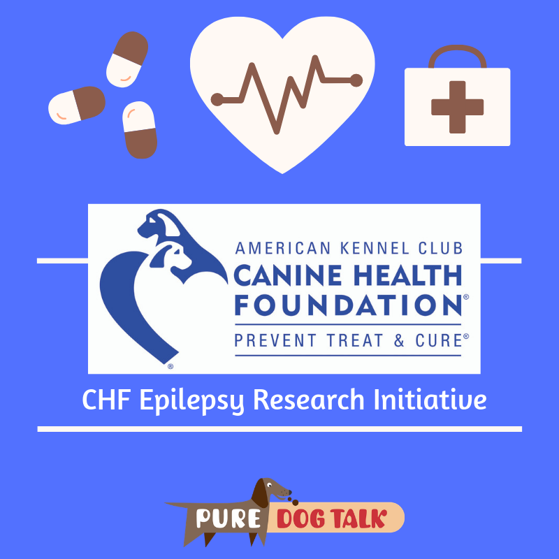 AKC Canine Health Foundation  An Improved Understanding of Canine