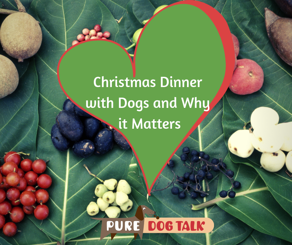 Christmas Dinner with Dogs and Why it Matters