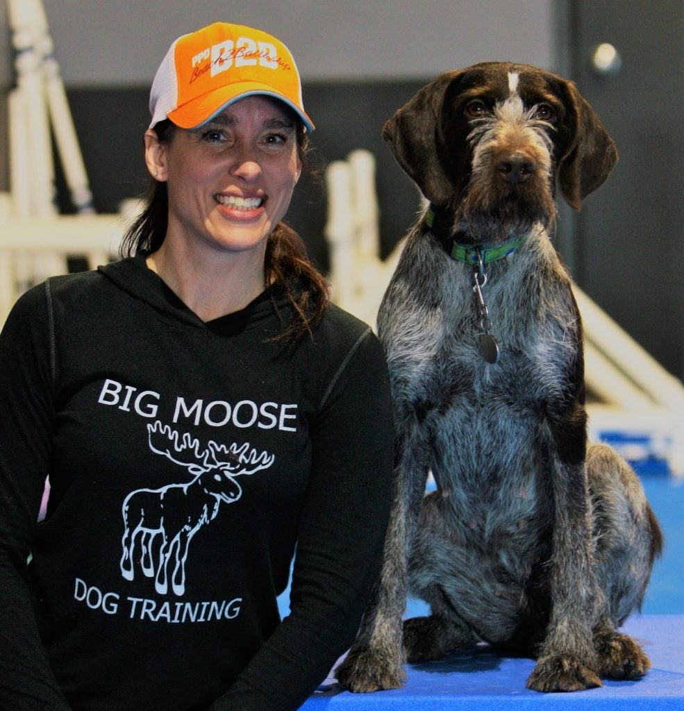 Kristin Sandstede, Big Moose Dog Training, talks Winter Workouts