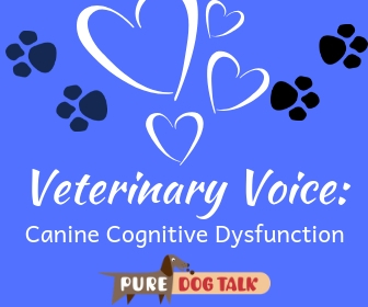 Veterinary Voice_ (3)