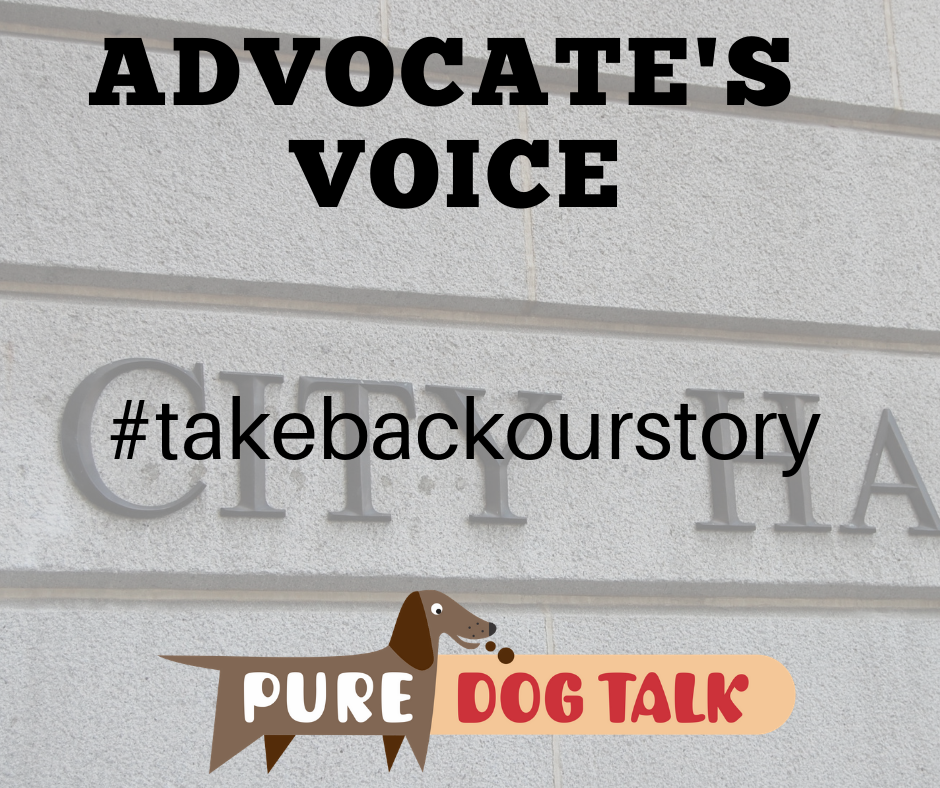 advocate's voice (3)