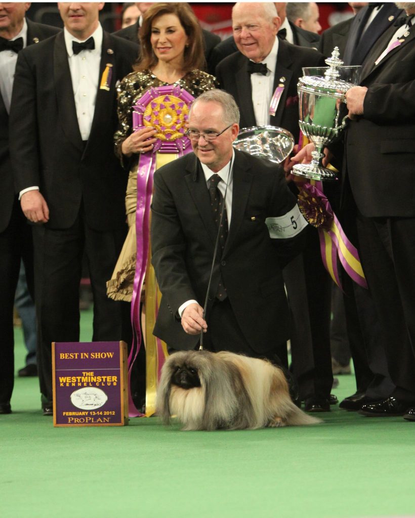 David Fitzpatrick and Malachy winning BIS at Westminster Kennel Club in 2012.