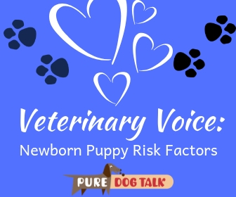 Veterinary Voice_ (4)