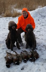 Hunting Poodles at Poodle Club of America: No, Really! | Pure Dog Talk