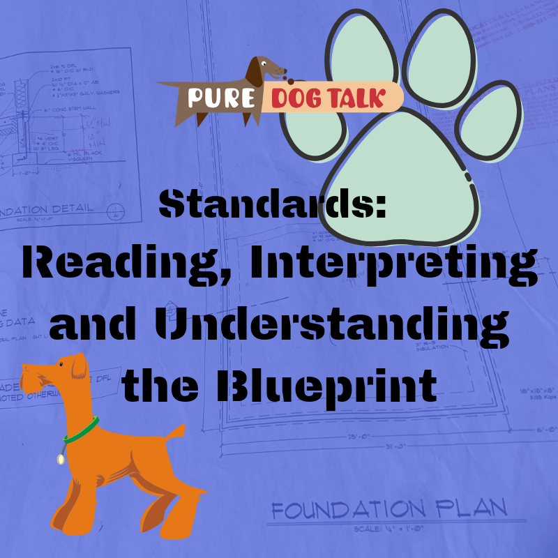 Standards_ Reading, Interpreting and Understanding the Blueprint