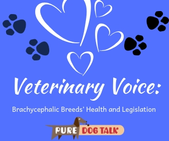 Veterinary Voice_ (1)