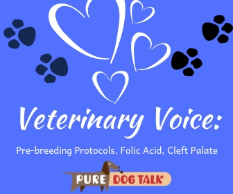 Veterinary Voice_ (2)