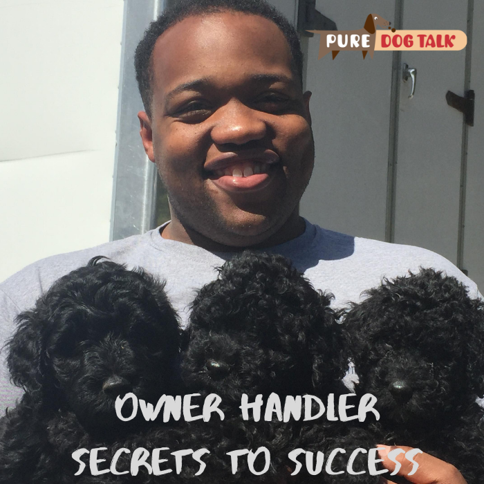 Owner Handler Secrets to Success