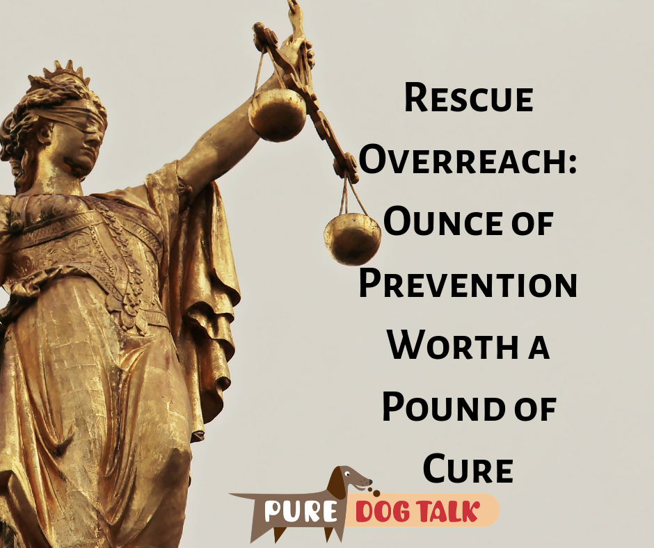 Rescue Overreach_ Ounce of Prevention Worth a Pound of Cure (1)