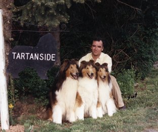 Breeding Rules from John Buddie, Tartanside Collies | Pure Dog Talk