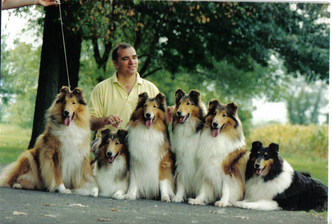 Breeding Rules from John Buddie, Tartanside Collies | Pure Dog Talk